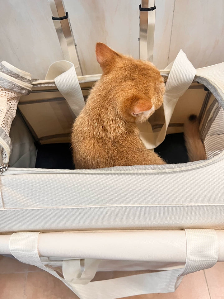 High Aesthetic Pet Trolley Box 2-layers Design Cat Basket Breathable Comfortable Transport Case Convenient Travel Pet Trolley