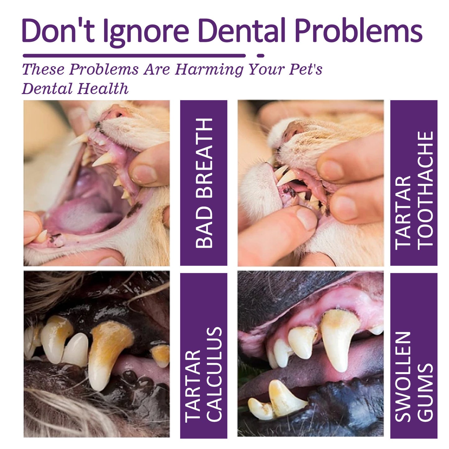 Pet Teeth Toothpaste V34 Deep Cleaning Teeth Mouth Deodorant Reduce Plaque Stain Dental Calculus Fresh Breath Pet Oral Care