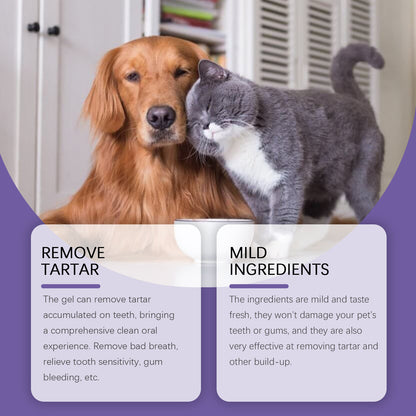 2pcs 3ml Pet Teeth Cleaning Gel Fresh Breath Tooth Whitening Toothbrush Tartar Removal Oral Care Teeth Repairing Dog Dental Pen