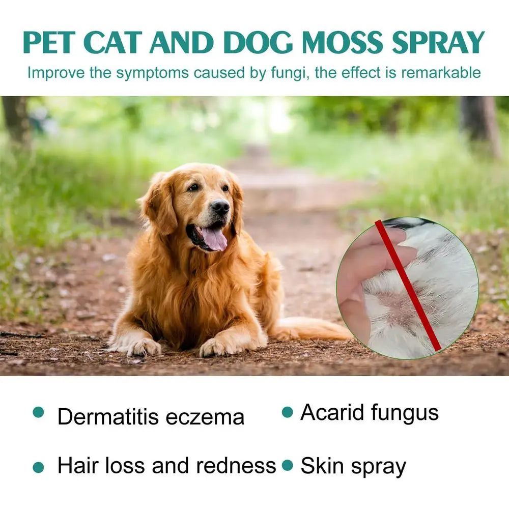 Pet Skin Care Spray 30ml Dogs and Cats Skin Problems Moss Spray Pet Cleaning Care Anti-Itch Spray Dog Cat Healthy Care Supplies