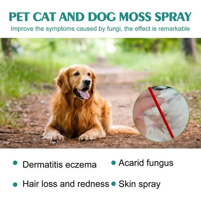 Pet Skin Care Spray 30ml Dogs and Cats Skin Problems Moss Spray Pet Cleaning Care Anti-Itch Spray Dog Cat Healthy Care Supplies