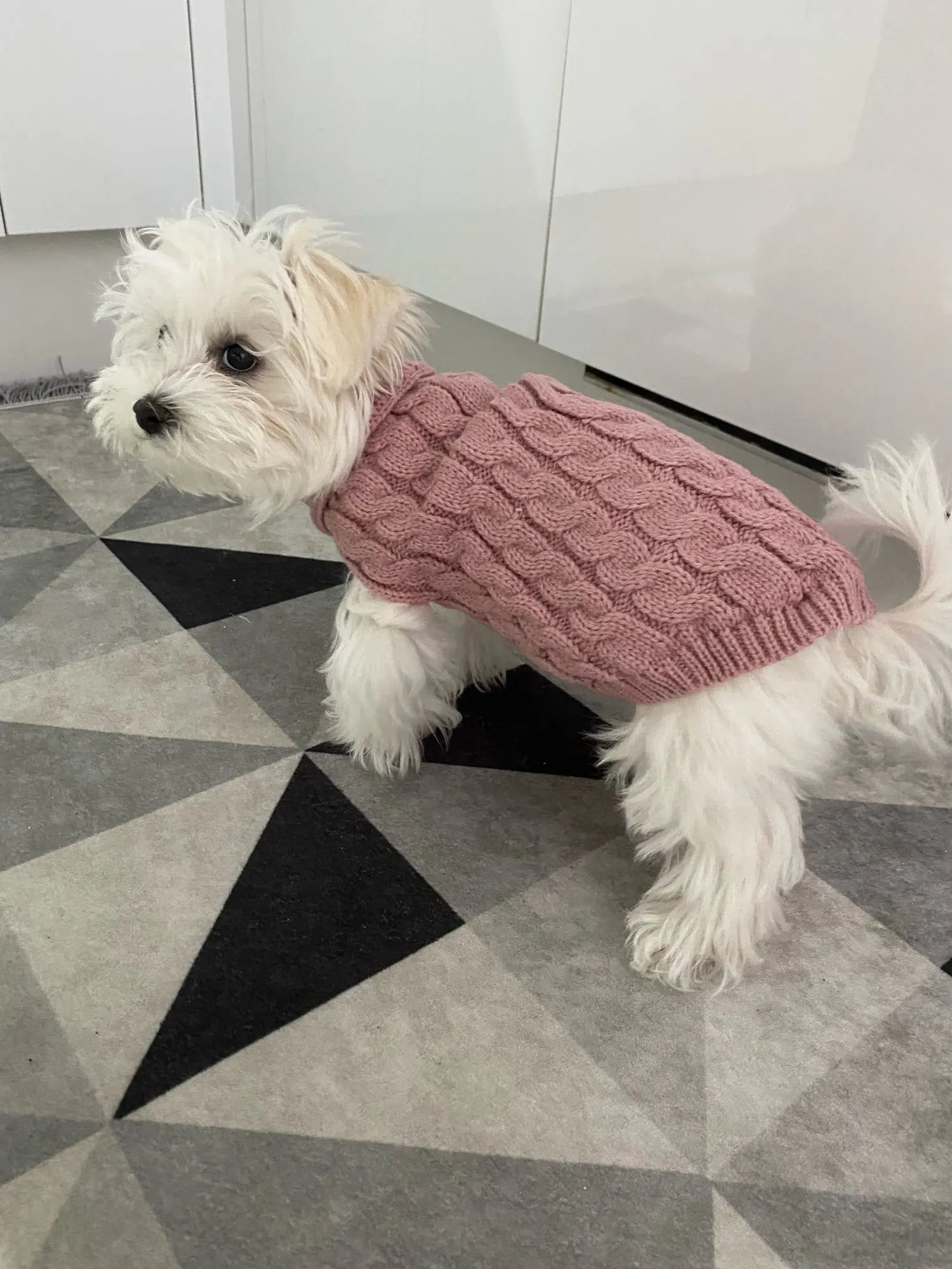 Knitted Clothes For Dogs Chihuahua Sweater For Small Dogs Winter Clothes For Sphinx Cat Dog Sweater For York Warm Dog Clothes