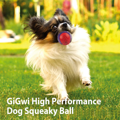 Interactive Dog Ball Pet Toys G-Ball Series Squeaky 2.5' Bouncy Assorted Colors for Small/Medium Dogs