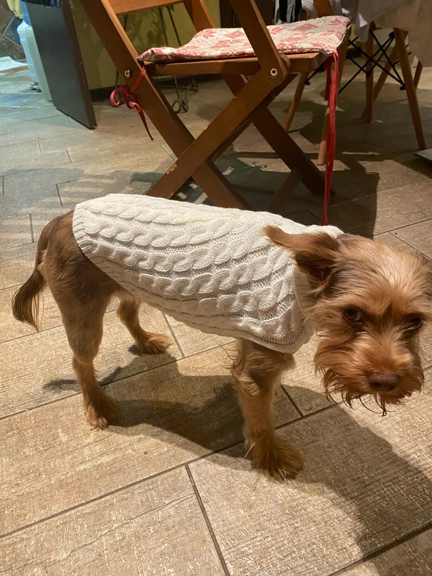 Knitted Clothes For Dogs Chihuahua Sweater For Small Dogs Winter Clothes For Sphinx Cat Dog Sweater For York Warm Dog Clothes