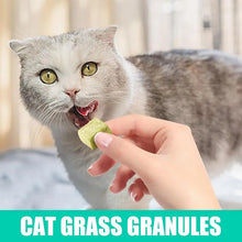 60克貓咪磨牙食用貓薄荷玩具貓草零食天然凍乾寵物磨牙棒天然草零食貓用