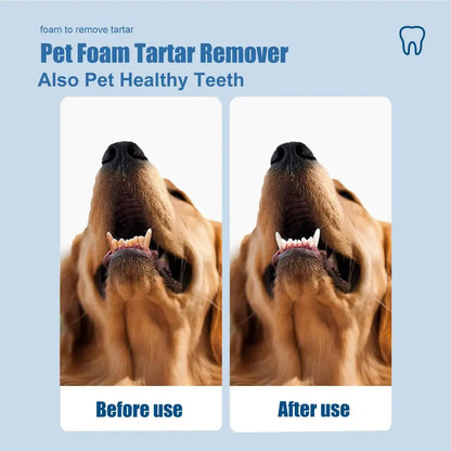 Pet Tartar Remover Natural Plaques Remover For Dogs Cats Freshen Breath Foam For Dogs Cats Support Healthy Gums Pet Care Product
