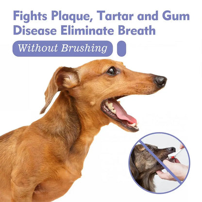 Pet Oral Care Spray – Dog Breath Freshener & Teeth Cleaner 30ml