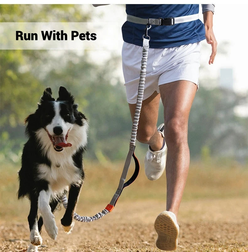 Hands Free Dog Leash Elastic Dog Running Belt Pet Bungee Rope Leashes Reflective Jop Dogs Training For Medium Large Dog Supplies