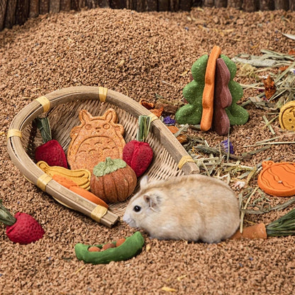 Guinea Pigs Hamster Rabbit Teeth Fruit Grinding Biscuit Small Pet Chew Toy Drop Shipping