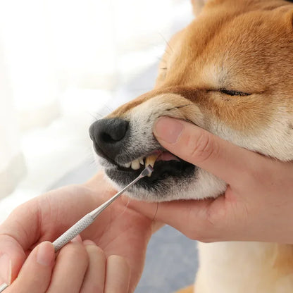 Pet Dog Toothbrush Stainless Steel Double Head Tooth Cleaning Tool Brush Bad Breath Tartar Teeth Care For Dog Cat Supplies