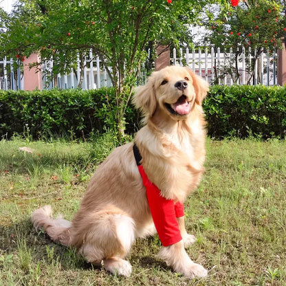 犬用肘プロテクター 肘ブレースパッド 中型犬・大型犬用 犬用膝パッド 衣類関節保護カバー 耐摩耗性 ペット用品