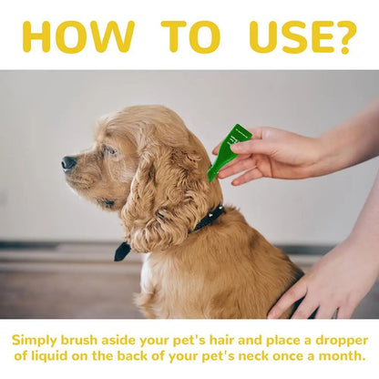 1pcs Dogs And Cats Anti Flea Drops Lice Remove Relieve Skin Itching Insect Supplies Pet Treatment Drops External Tick Repel K6D1
