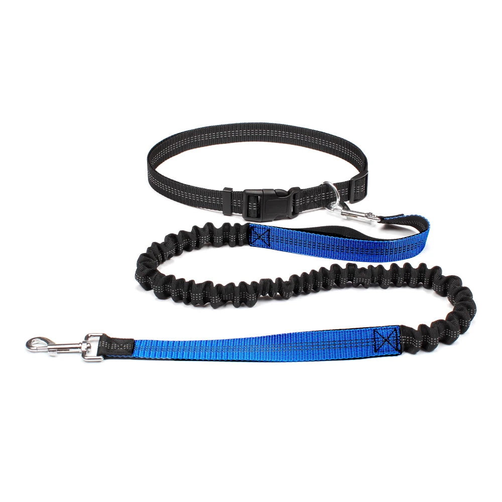 Dog Leash Hands Free Retractable Traction Rope Pet Walking Running Adjustable Waist Belt Elastic Reflective leash Pet Supplies