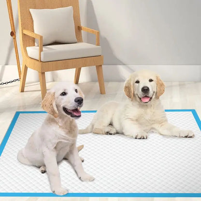 Dog Training Pee Pads – 20–100pcs Absorbent Pet Diapers