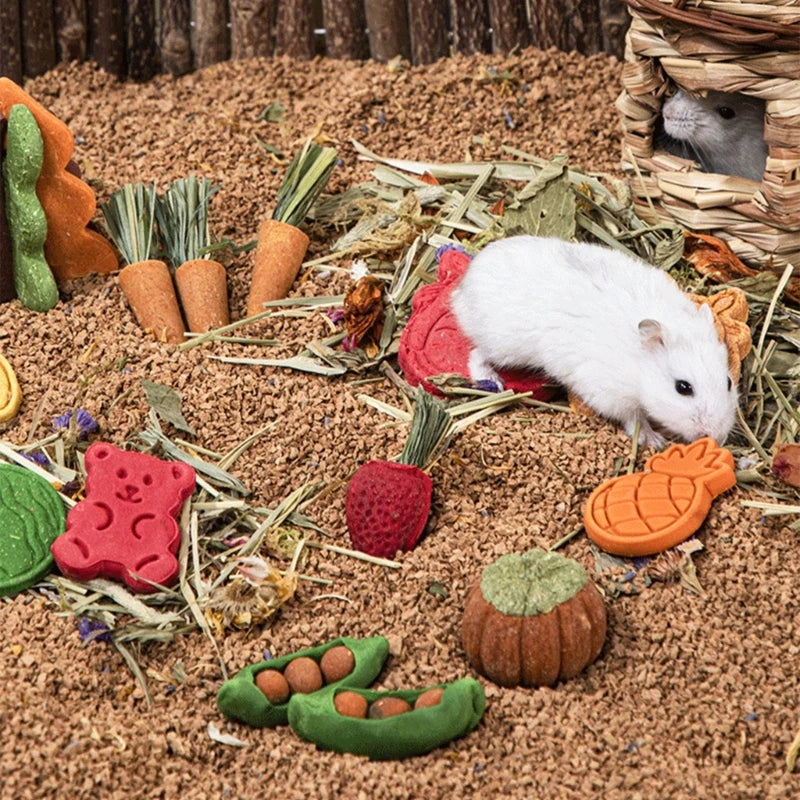 Guinea Pigs Hamster Rabbit Teeth Fruit Grinding Biscuit Small Pet Chew Toy Drop Shipping