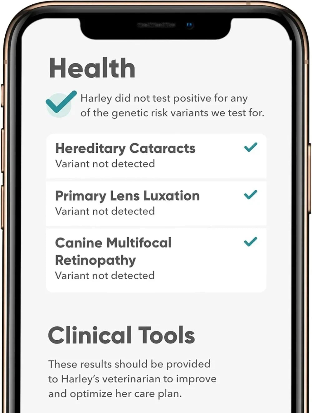 Breed Health Kit (2 Pack) Dog DNA Test Discover Breed  Ancestry Relative Finder  Genetic Health Traits COI Pet Test Strips