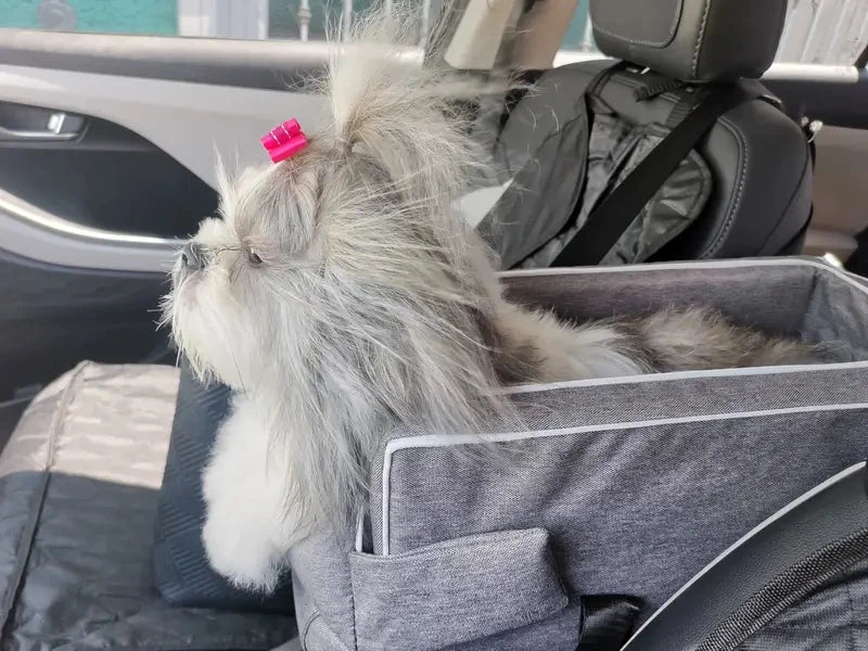 Portable Dog Cat Car Seat Travel Companionship  Safety Pet Car Bed Transport Dog Carrier Protection House Cat Accessories