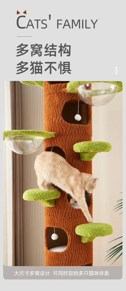 Cat climbing frame nest, cat tree integration, non-solid wood Tongtian pillar, fram toys products