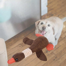 plush dog toy, squeaky dog toy, puppy chew toy, teeth cleaning dog toy, wild goose dog toy, interactive dog toy, safe dog chew toy, cute dog toy, chew toy for puppies, oral health dog toy