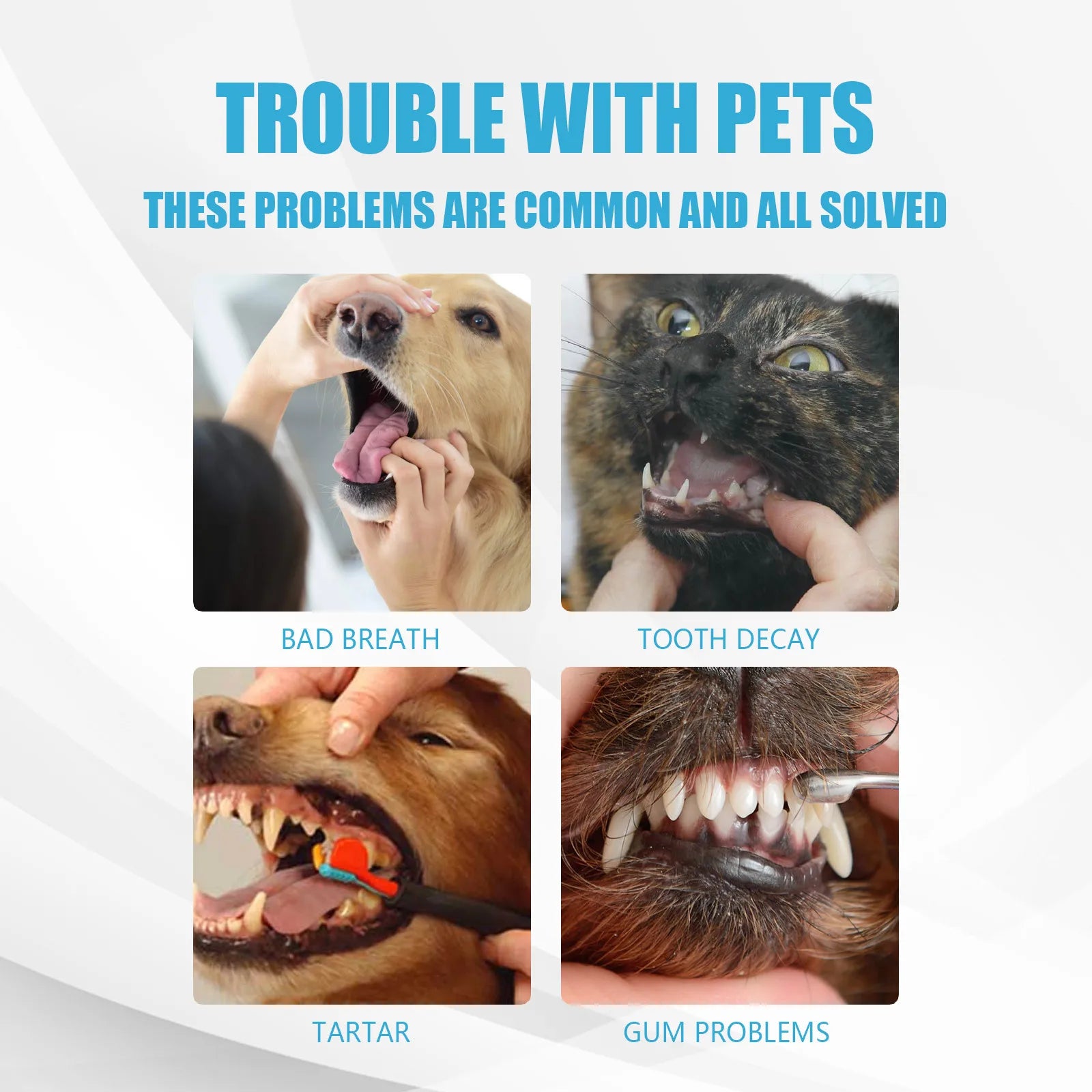 Pet Oral Care Toothpaste Dog Fresh Breath Mouth Deodorant Tartar Plaque Cleaning Prevent Teeth Calculus Cats Edible Toothpaste