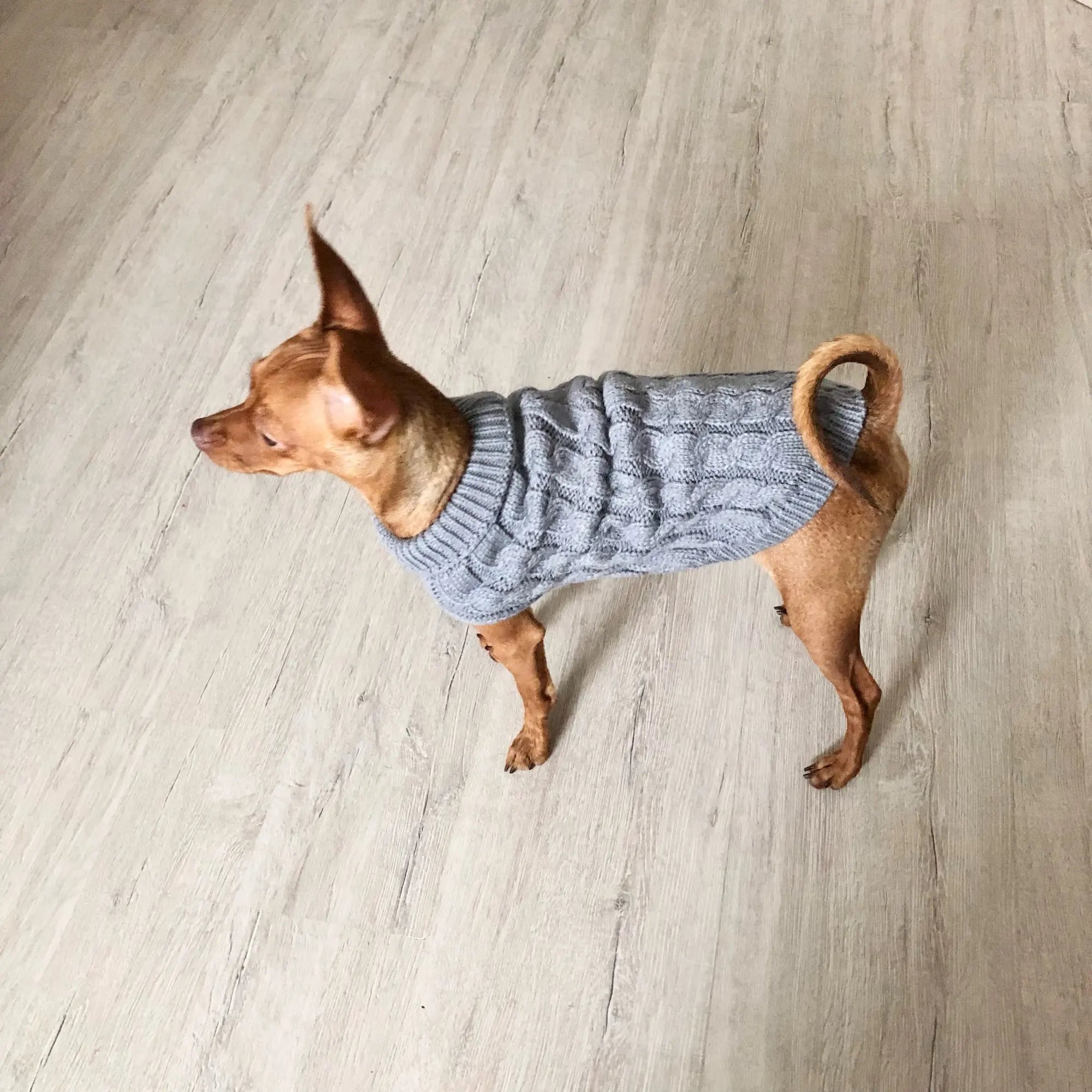 Knitted Clothes For Dogs Chihuahua Sweater For Small Dogs Winter Clothes For Sphinx Cat Dog Sweater For York Warm Dog Clothes