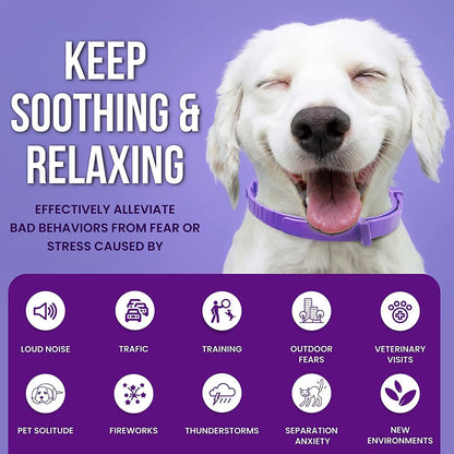 Pet Calming Collar for Cats & Dogs – Lavender & Chamomile