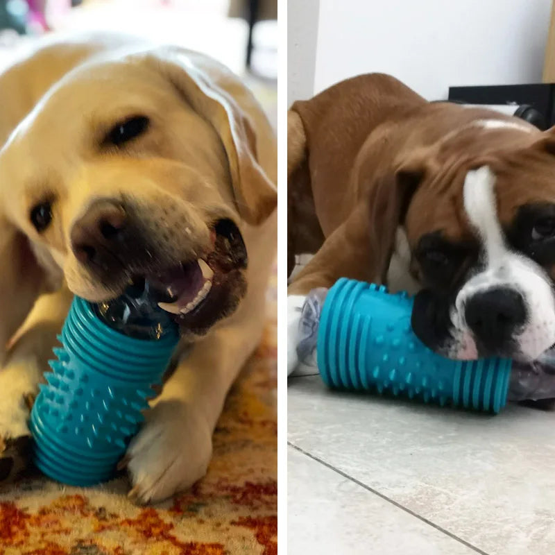 CAITEC Dog Toys Plastic Bottle Sleeve Dog Can Enjoy the Crunchy Sound Springy Chow Toy You Can Replace the Bottle by Yourself
