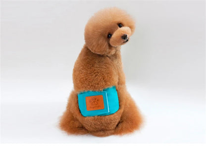 Solid Color Male Dog Diapers – Washable Cotton Dog Shorts