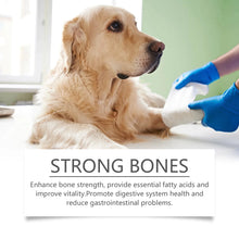 犬用複合維生素魚油片,適用於狗狗,含 Omega-3 的毛髮護理配方,減少除毛,滋養皮膚,健康補充劑