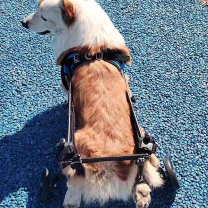 Pet Wheelchair Dog Wheelchair Hind Limb Paralysis Disabled Elderly Pet Scooter Dog Rehabilitation Walking Assist Vehicle