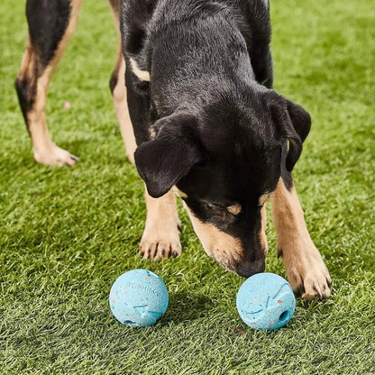 Chuckit Fetch Medley Dog Ball Dog Toys, Pack of 3