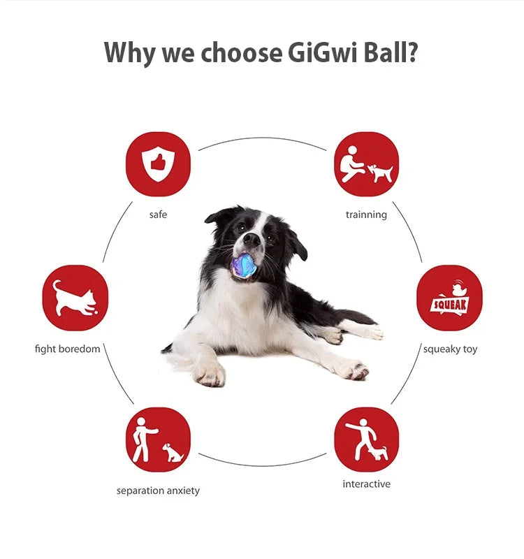 Interactive Dog Ball Pet Toys G-Ball Series Squeaky 2.5' Bouncy Assorted Colors for Small/Medium Dogs