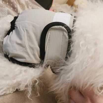 Washable Dog Diapers – Reusable Sanitary Panties for Dogs