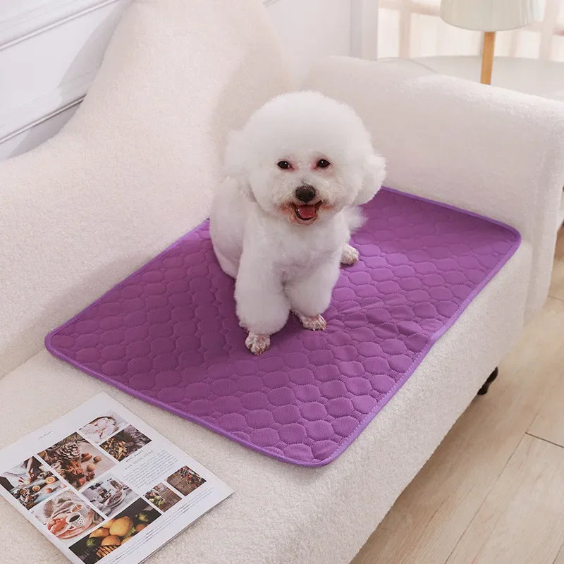 New Reusable Waterproof Pet Urine Pad Non-slip Absorbent Easy To Dry Puppy Training Pad  Diaper Mat Dog Car Seat Cover