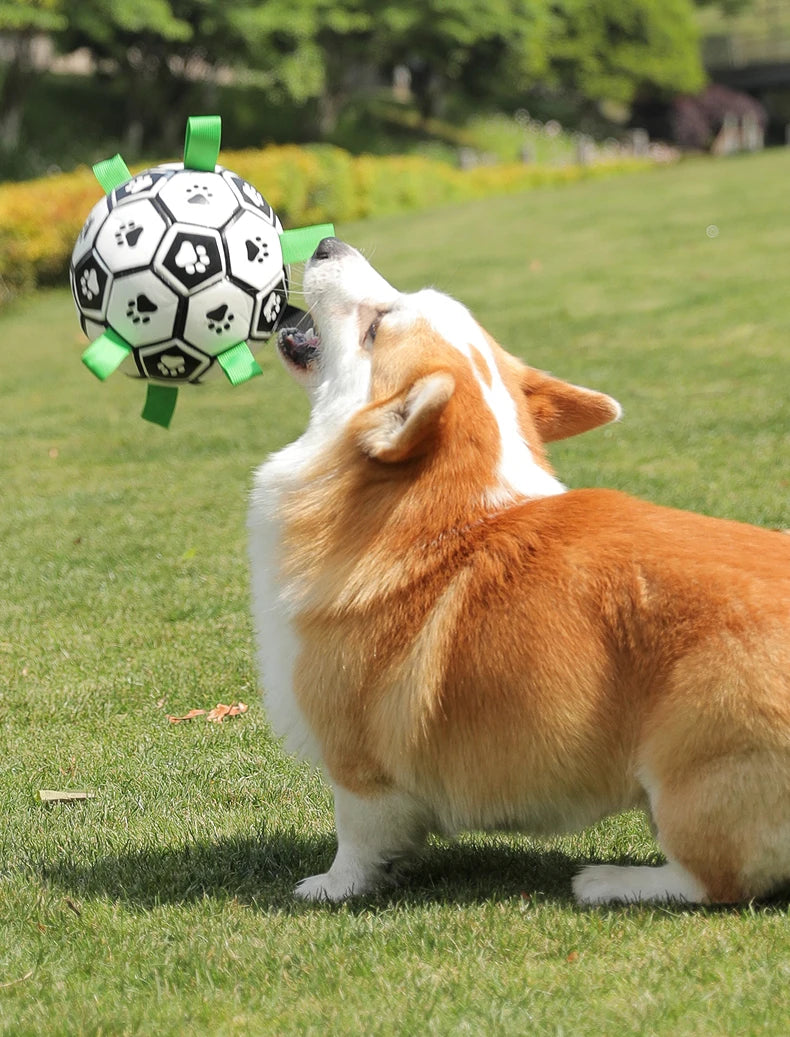 Kimpets Dog Interactive Football Toys Children Soccer Dog Outdoor Training Balls Dog Sporty Bite Chew Teething Ball Pet Supplies