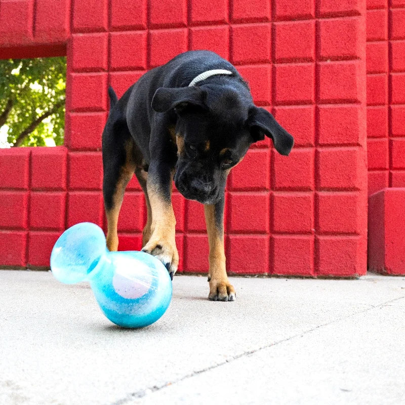 KONG Rewards Tipsy Toys For Dog