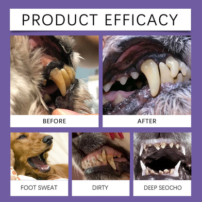 2pcs 3ml Pet Teeth Cleaning Gel Fresh Breath Tooth Whitening Toothbrush Tartar Removal Oral Care Teeth Repairing Dog Dental Pen