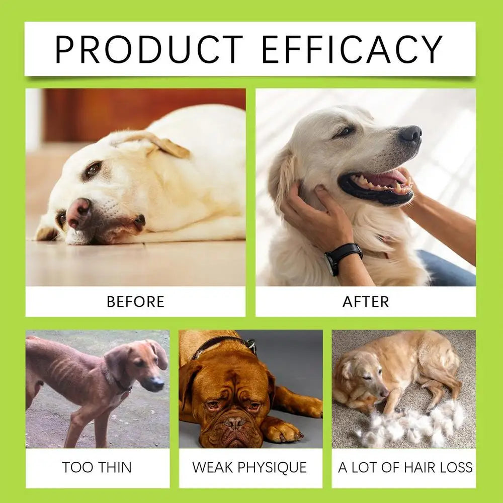 Hip And Joint Supplement Dogs Liquid Dog Multivitamin Dog Multivitamin Puppy Multivitamin Dog Supplement Drops For Puppies Adult