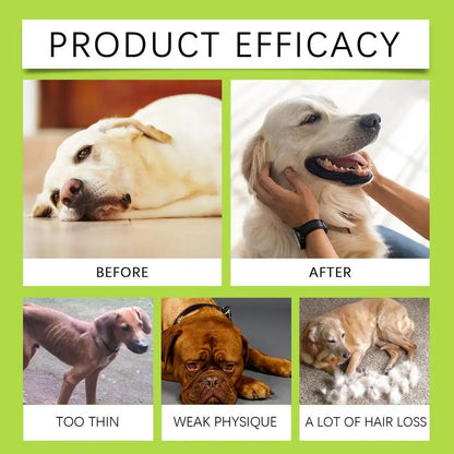 Hip And Joint Supplement Dogs Liquid Dog Multivitamin Dog Multivitamin Puppy Multivitamin Dog Supplement Drops For Puppies Adult