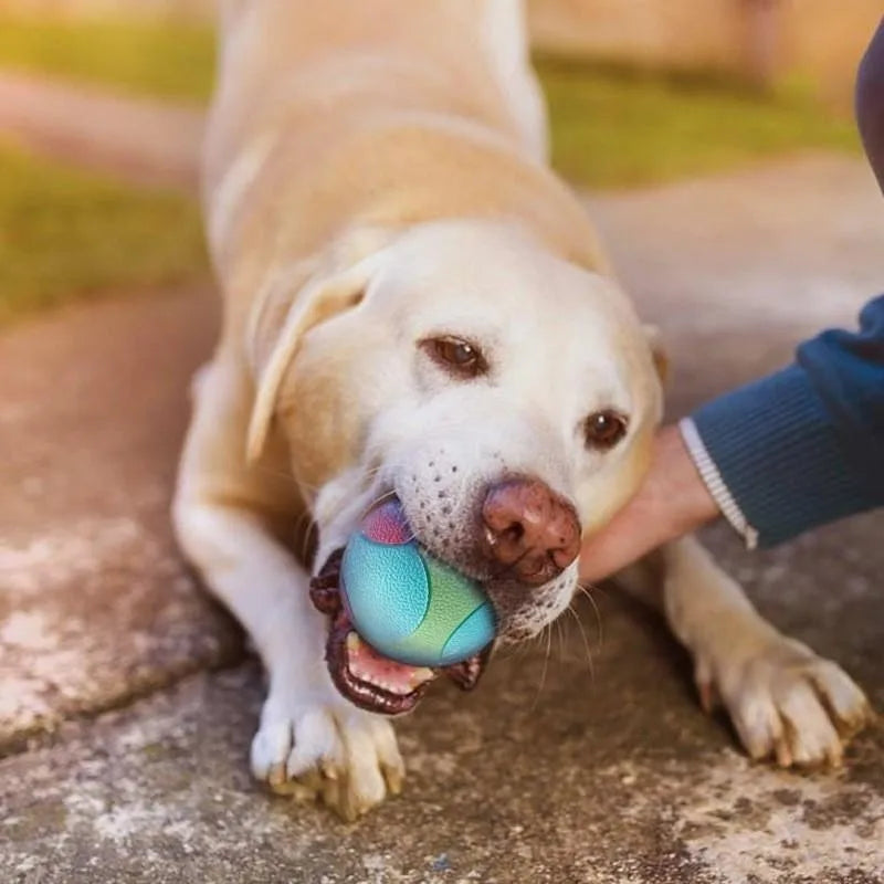 Pet Dog Interactive Ball Toy Training Chew Play Fetch Bite Toys Solid Rubber Dog Balls Pet Supplies