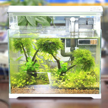 防水水族箱溫度計 3D 數位液晶電子魚缸溫度計魚龜溫度計水族箱裝飾