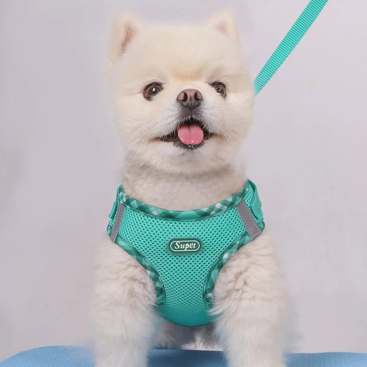 Supet 1 件組狗背帶，防拉扯，寵物背帶，可調節，易於控制，適合小型、中型犬