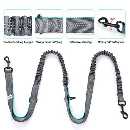 New Retractable Dog Walking Bag Adjustable Reflective Puppy Training Pouch Outdoor Hands Free Waist Bag Running
