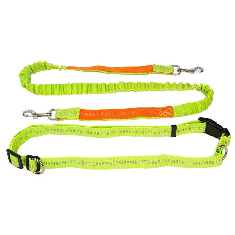 Dog Leash Hands Free Retractable Traction Rope Pet Walking Running Adjustable Waist Belt Elastic Reflective leash Pet Supplies