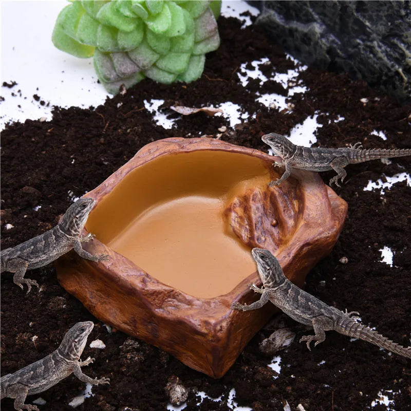 1PC Pet Feeder Bowl Tortoise Drinker Reptile Feeder Dispenser Landscaping Decoration Lizard Water Feeder NEW