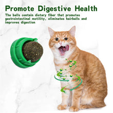 天然貓薄荷球可舔貓草零食小貓抓板玩具點心咀嚼清新口氣適合中小型寵物貓