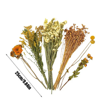 Nature Flower Herb Hamster Bedding Decor Hamster Habitat Decor Hamster Cage Supplies For Hamsters Gerbils Rabbit Other Small Pet
