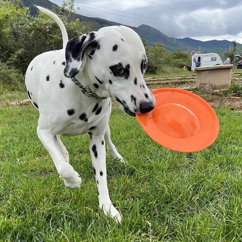 HERO Dog Toys Flying Disc Squeaky Interactive Dog Toy Suitable for Medium or Large Dogs