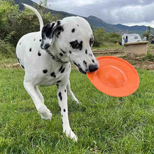 HERO Dog Toys Flying Disc Squeaky Interactive Dog Toy Suitable for Medium or Large Dogs