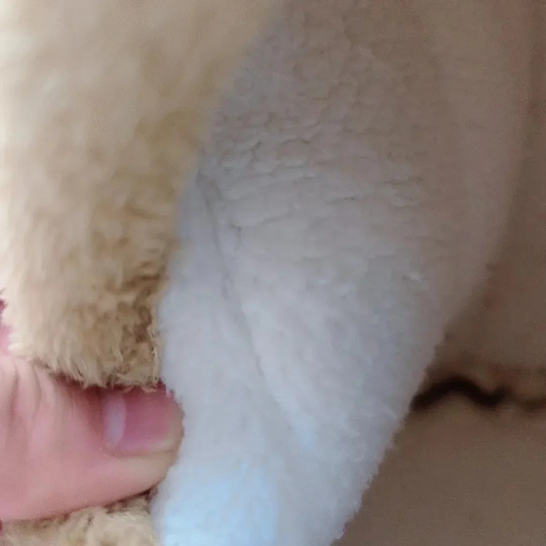 小動物寵物屋倉鼠窩樹樁形圓形吊床豚鼠雪貂松鼠兔子冬季保暖棉床